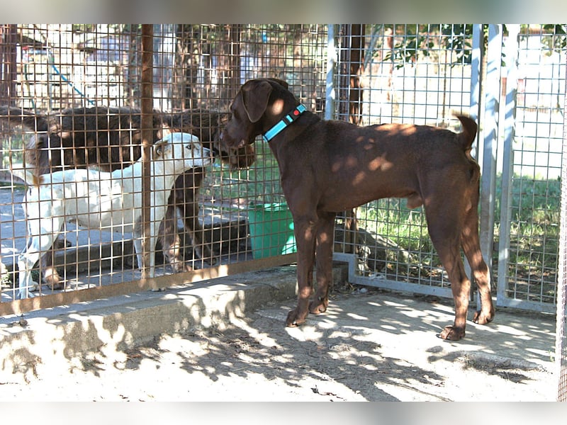 Sanfter Wotan sucht seine Menschen