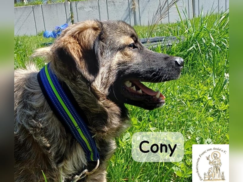 Cony – klug, klar, charakterstark!