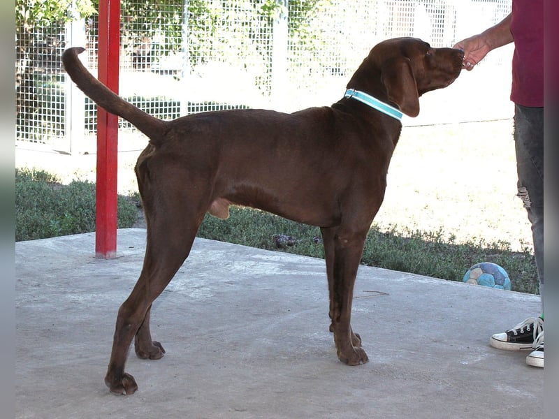 Sanfter Wotan sucht seine Menschen