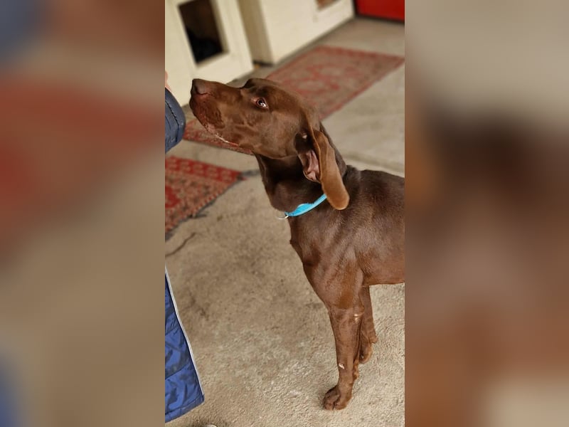 Sanfter Wotan sucht seine Menschen