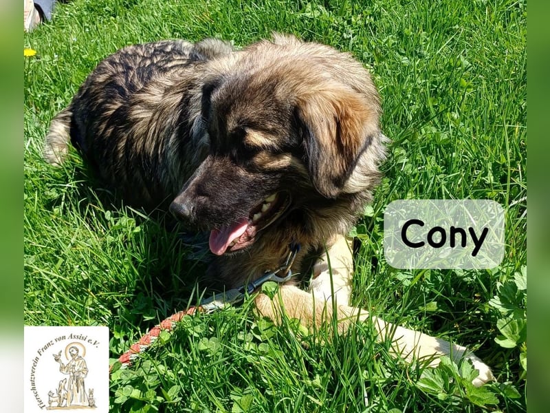 Cony – klug, klar, charakterstark!