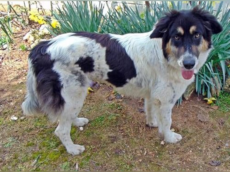 Amy sitzt auf gepacktem Köfferchen