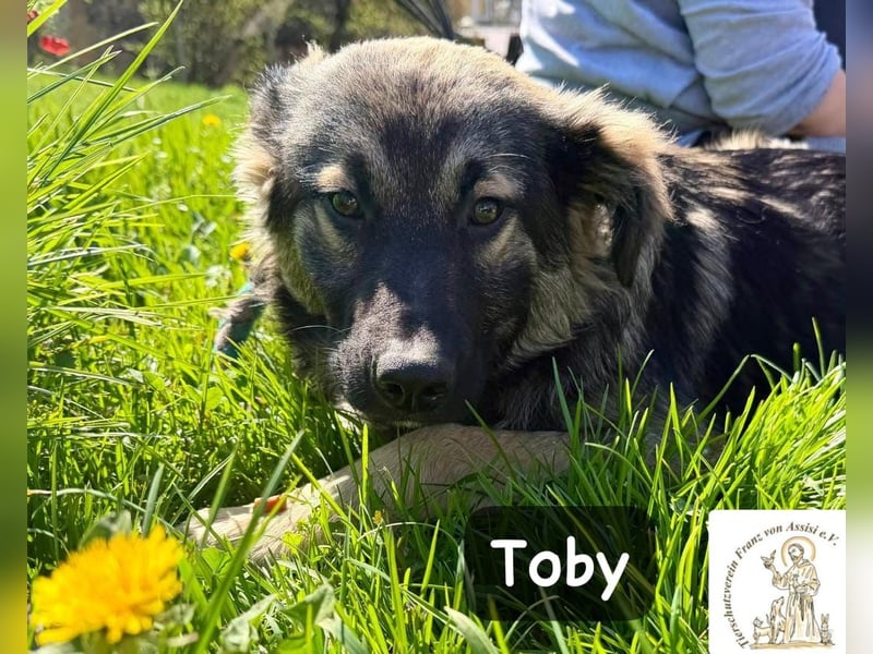 Toby hat Pläne … große!
