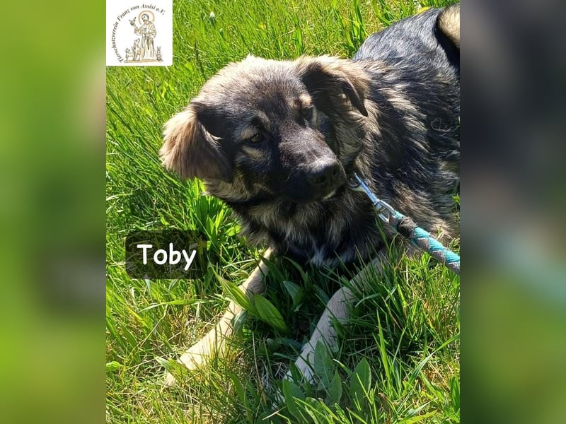 Toby hat Pläne … große!