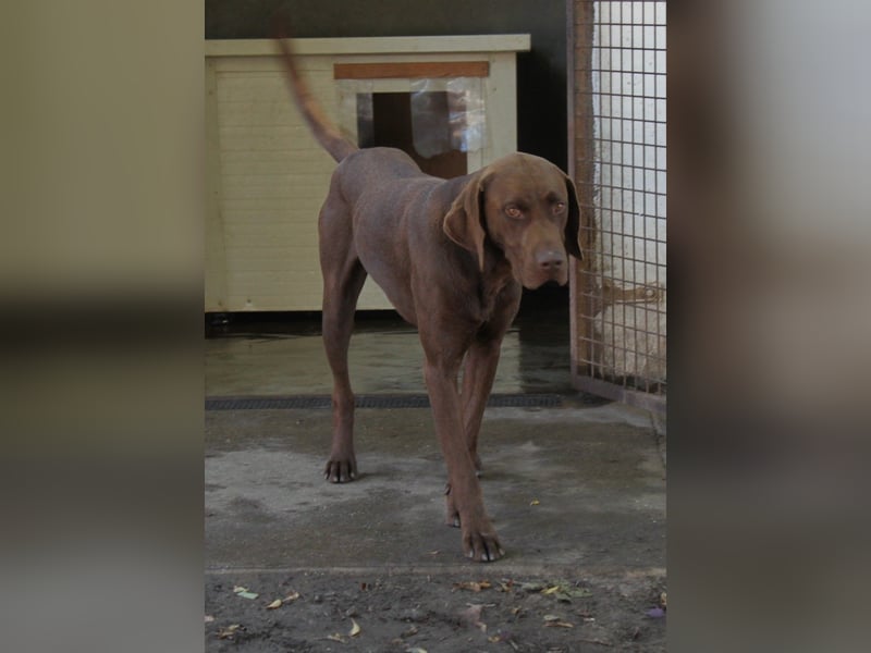 Sanfter Wotan sucht seine Menschen