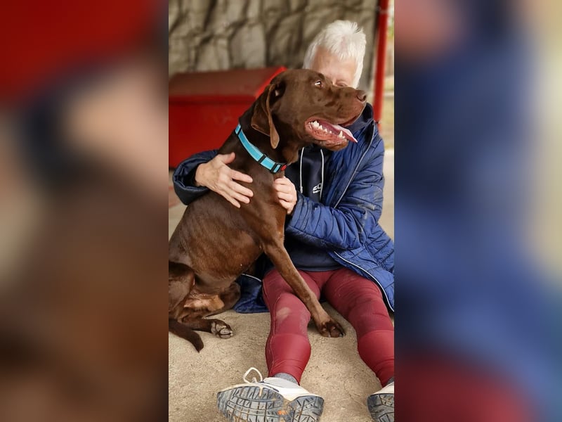 Sanfter Wotan sucht seine Menschen