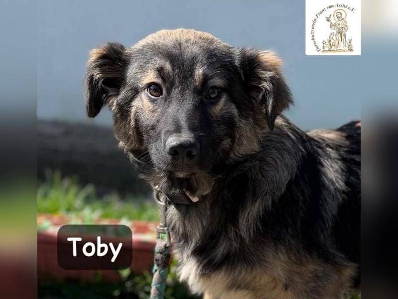 Toby hat Pläne … große!