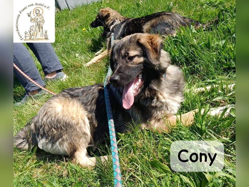 Cony – klug, klar, charakterstark!