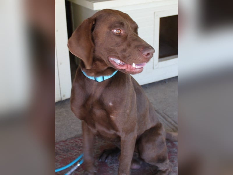 Sanfter Wotan sucht seine Menschen