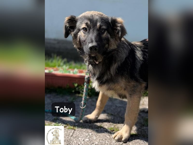 Toby hat Pläne … große!