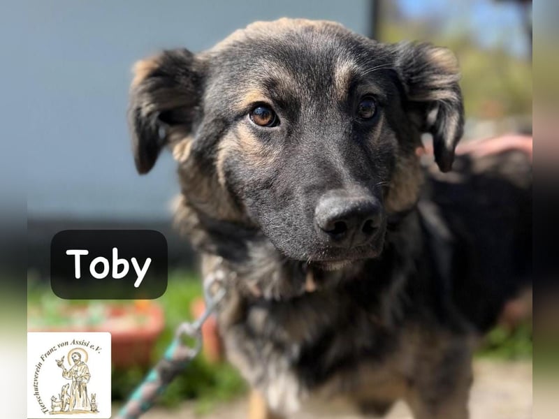 Toby hat Pläne … große!