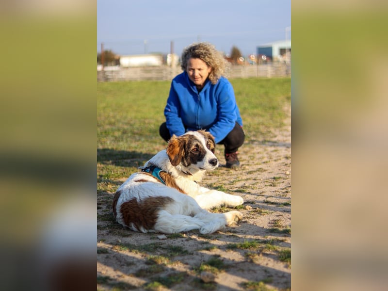 Oreo sucht sein Für-immer-Zuhause