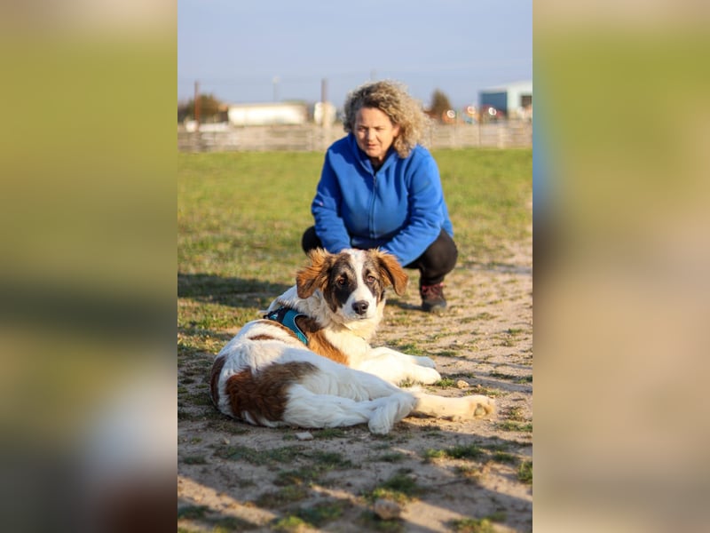 Oreo sucht sein Für-immer-Zuhause