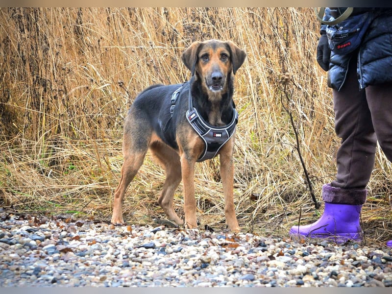 Milana: Elegante Sportlerin und treue Kuschelpartnerin sucht ihr großes Glück