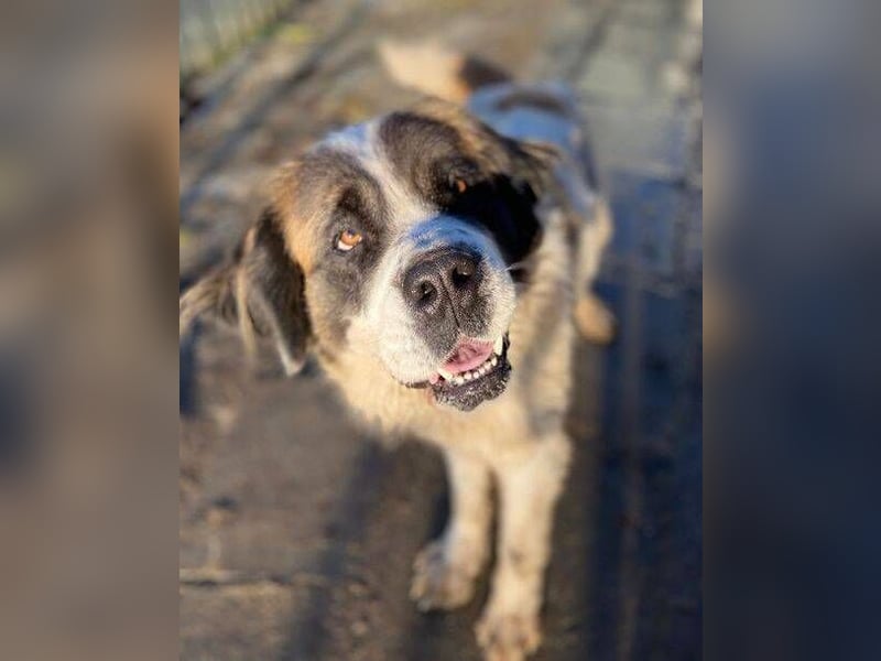 BETTY 2 - Wer zeigt ihr wie schön das Leben sein kann