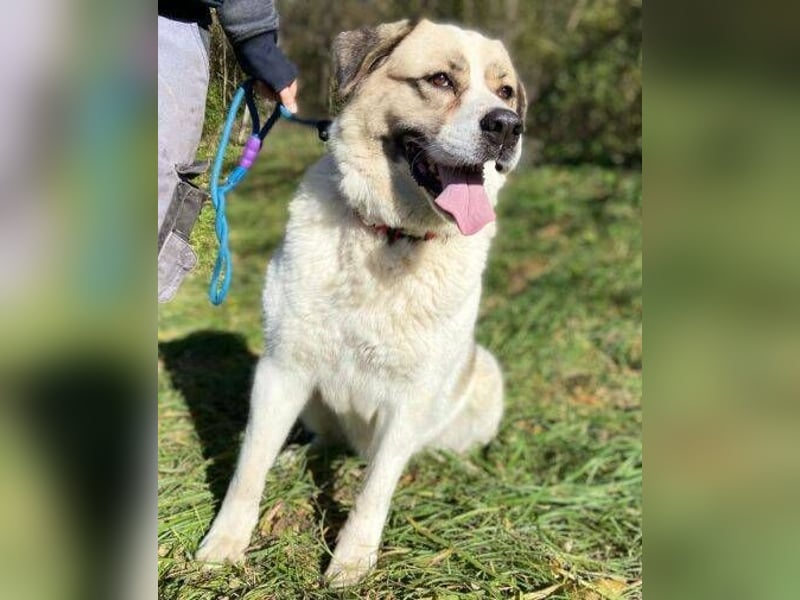 HEIDI 2 ist eine Schönheit