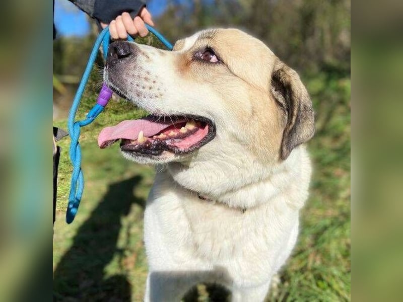 HEIDI 2 ist eine Schönheit