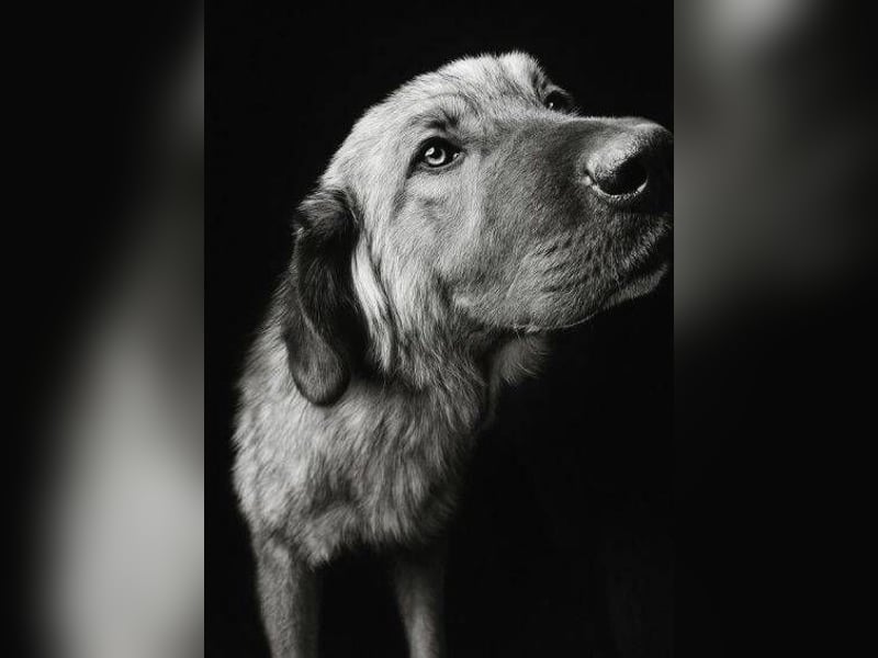 ASTA liebt Menschen sehr