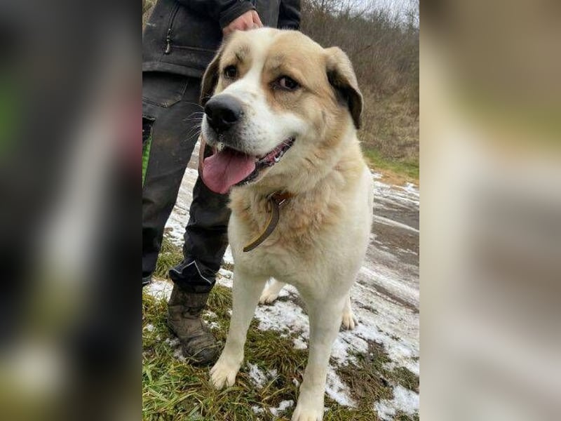 HEIDI 2 ist eine Schönheit