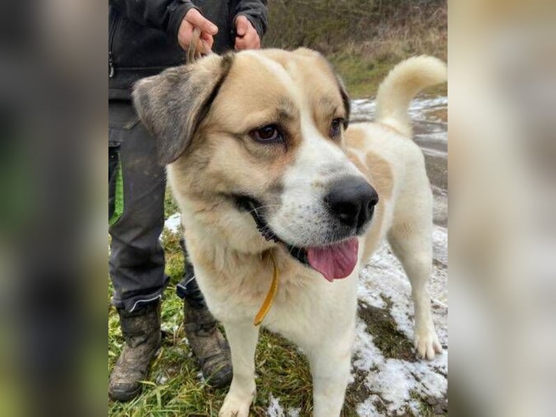 HEIDI 2 ist eine Schönheit