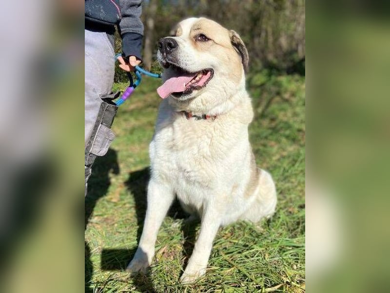 HEIDI 2 ist eine Schönheit