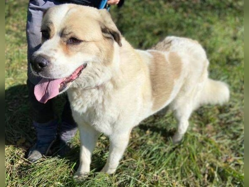 HEIDI 2 ist eine Schönheit