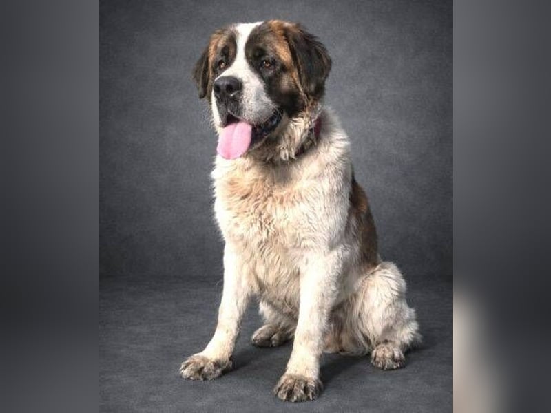 BETTY 2 - Wer zeigt ihr wie schön das Leben sein kann