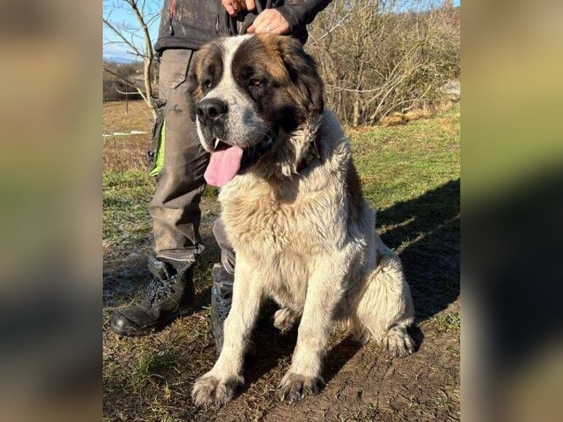 BETTY 2 - Wer zeigt ihr wie schön das Leben sein kann