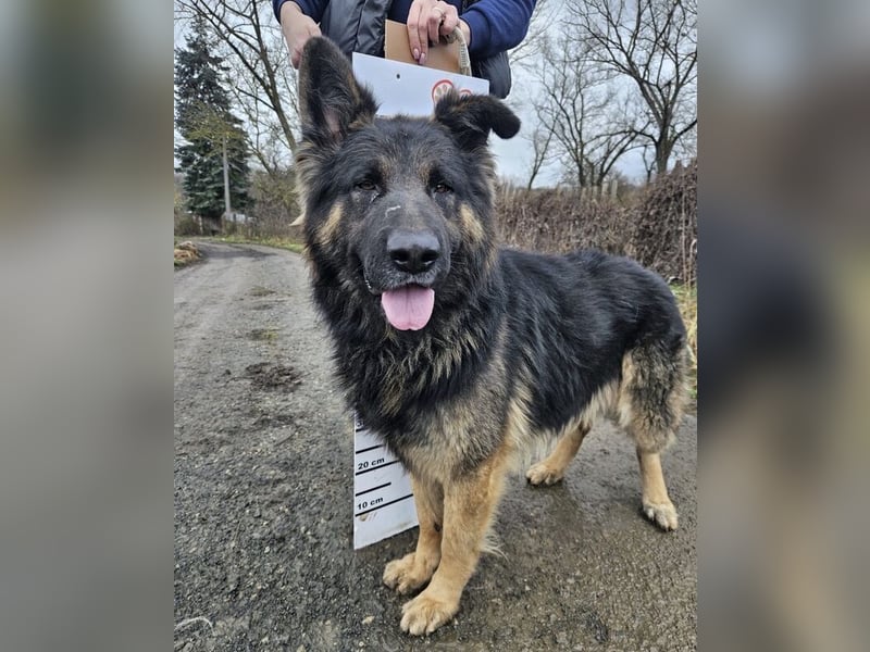 ZEUS durfte nie ankommen