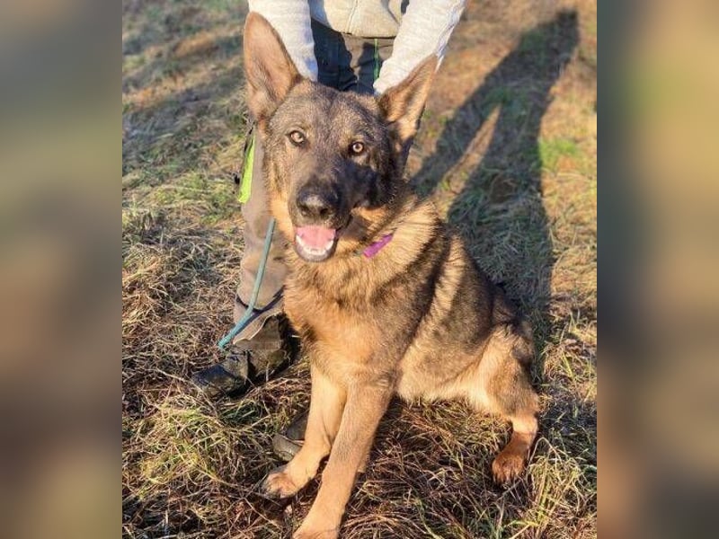 OSCAR wurde herzlos ausgesetzt