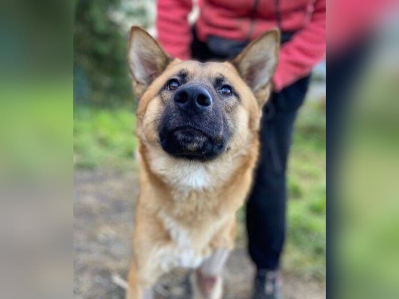 OREIAS musst schon viel aushalten