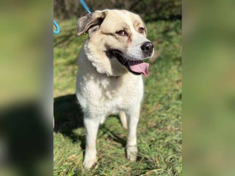 HEIDI 2 ist eine Schönheit