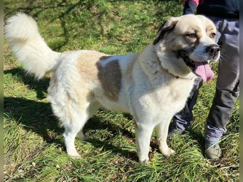 HEIDI 2 ist eine Schönheit