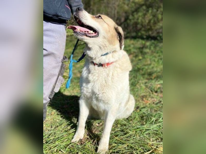 HEIDI 2 ist eine Schönheit