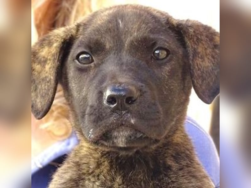 CARLOS,  sein junges Leben schon in Gefahr CARLOS,  sein junges Leben schon in Gefahr