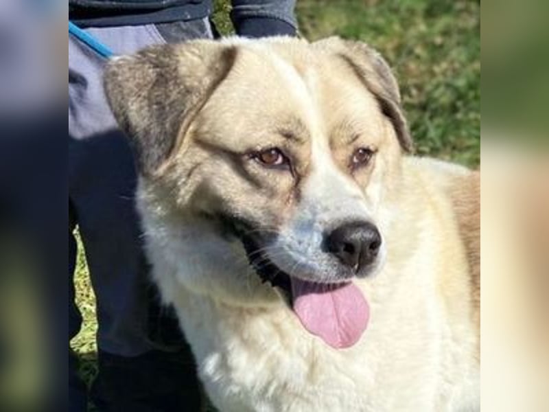 HEIDI 2 ist eine Schönheit