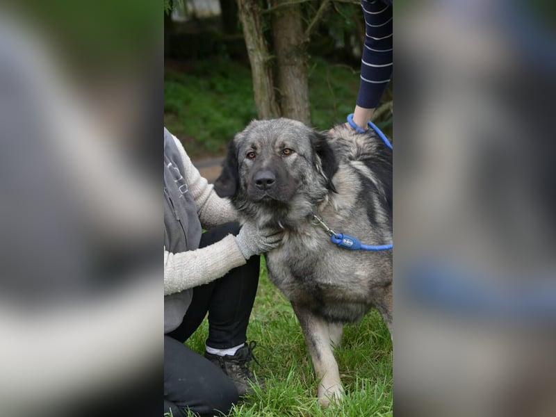 ASTA liebt Menschen sehr