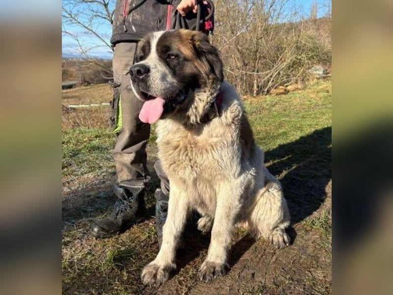 BETTY 2 - Wer zeigt ihr wie schön das Leben sein kann