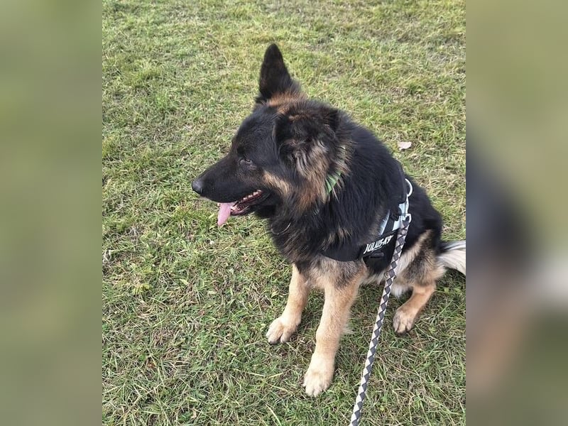 ZEUS durfte nie ankommen