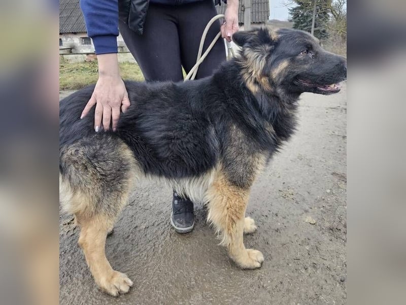 ZEUS durfte nie ankommen