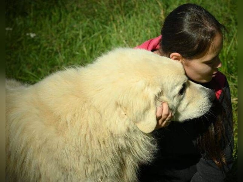 LEON 2 ein sanfter Riese LEON 2 ein sanfter Riese