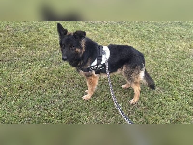 ZEUS durfte nie ankommen