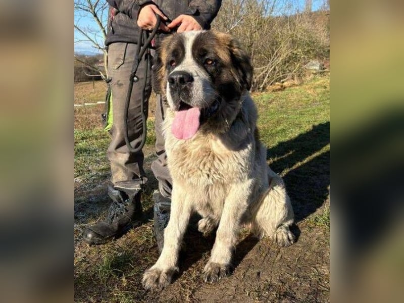 BETTY 2 - Wer zeigt ihr wie schön das Leben sein kann