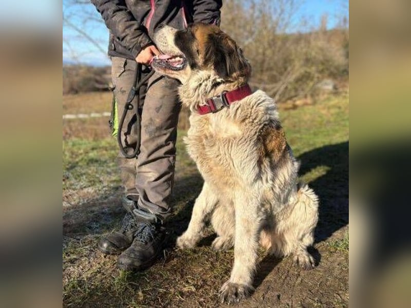 BETTY 2 - Wer zeigt ihr wie schön das Leben sein kann