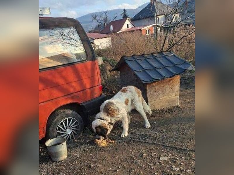 BETTY 2 - Wer zeigt ihr wie schön das Leben sein kann