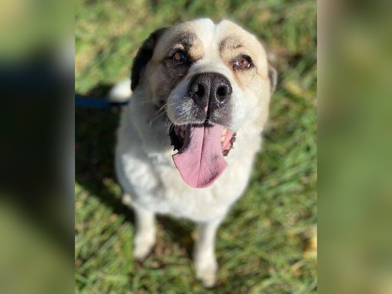 HEIDI 2 ist eine Schönheit