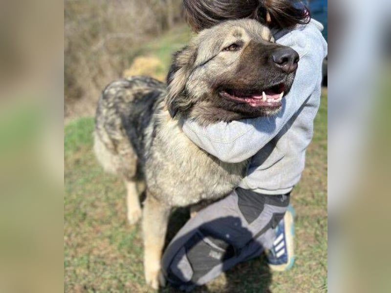 ASTA liebt Menschen sehr