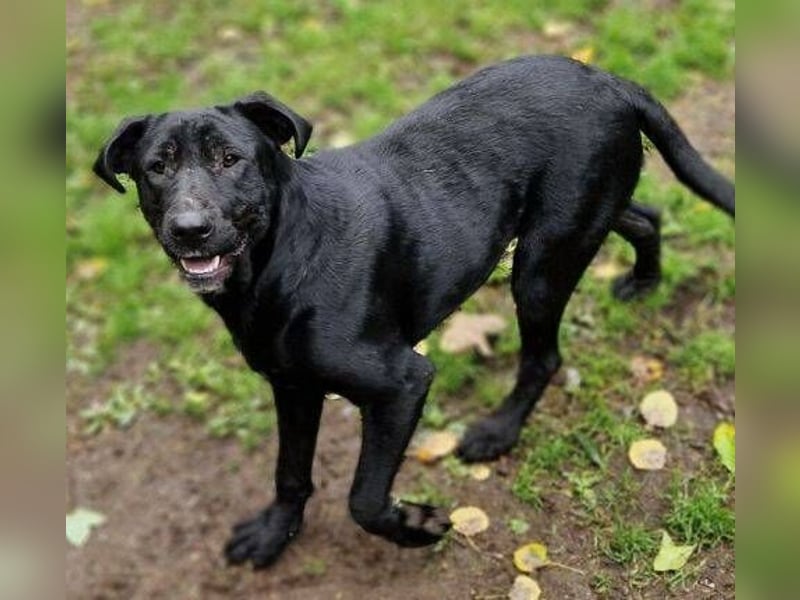 MARA möchte deine Freundin sein