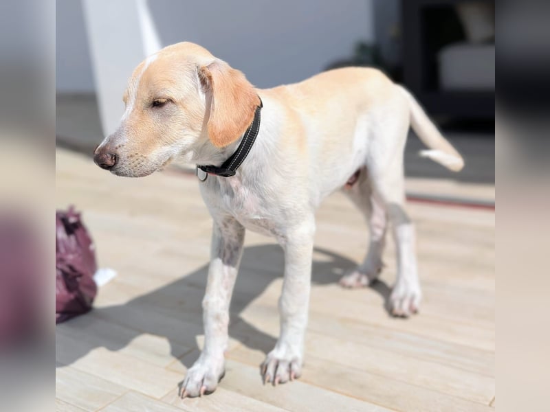 Neo wartet auf seine Familie Neo wartet auf seine Familie