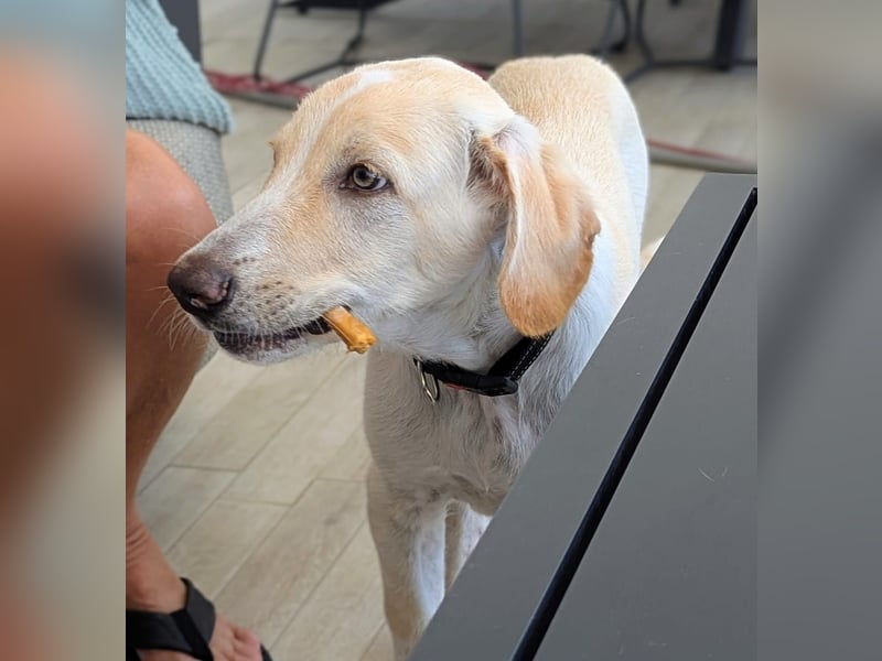 Neo wartet auf seine Familie Neo wartet auf seine Familie